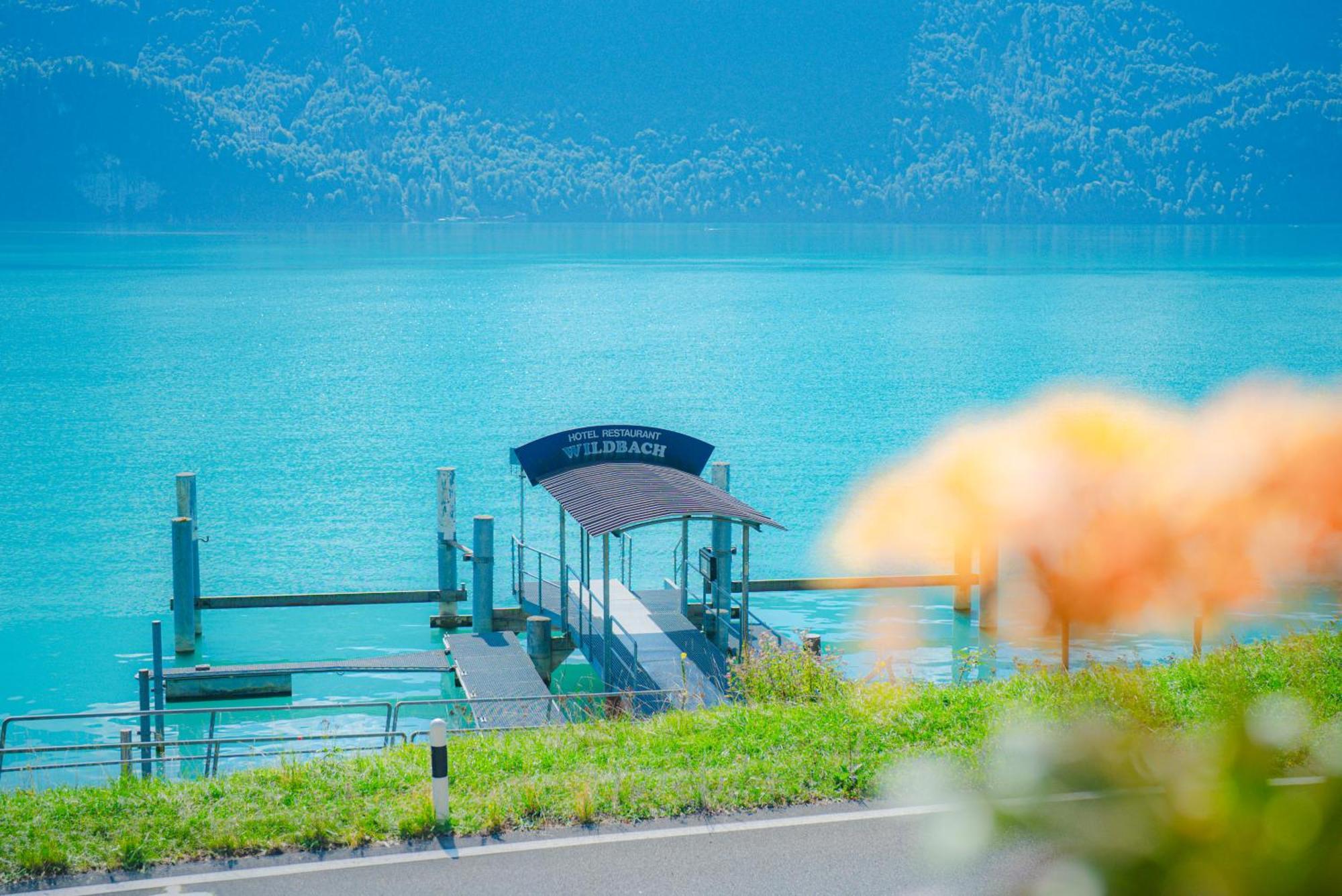 Hotel Wildbach Brienz Brienz (Bern) Exterior foto